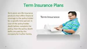 The Company you can Choose to Buy a Term Insurance Plan