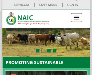 NAIC Recruitment