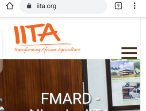 IITA Recruitment