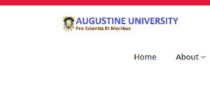 List of Courses offered in Augustine University