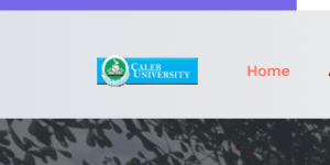 List of Courses offered in Caleb University