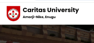 List of Courses offered in Caritas University
