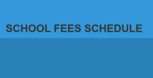 Afe Babalola University (ABAUD) School Fees