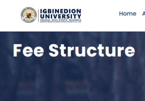 Igbinedion University Okada School fees