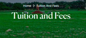 Obong University School Fees