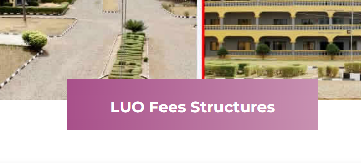 Legacy University Okija School Fees